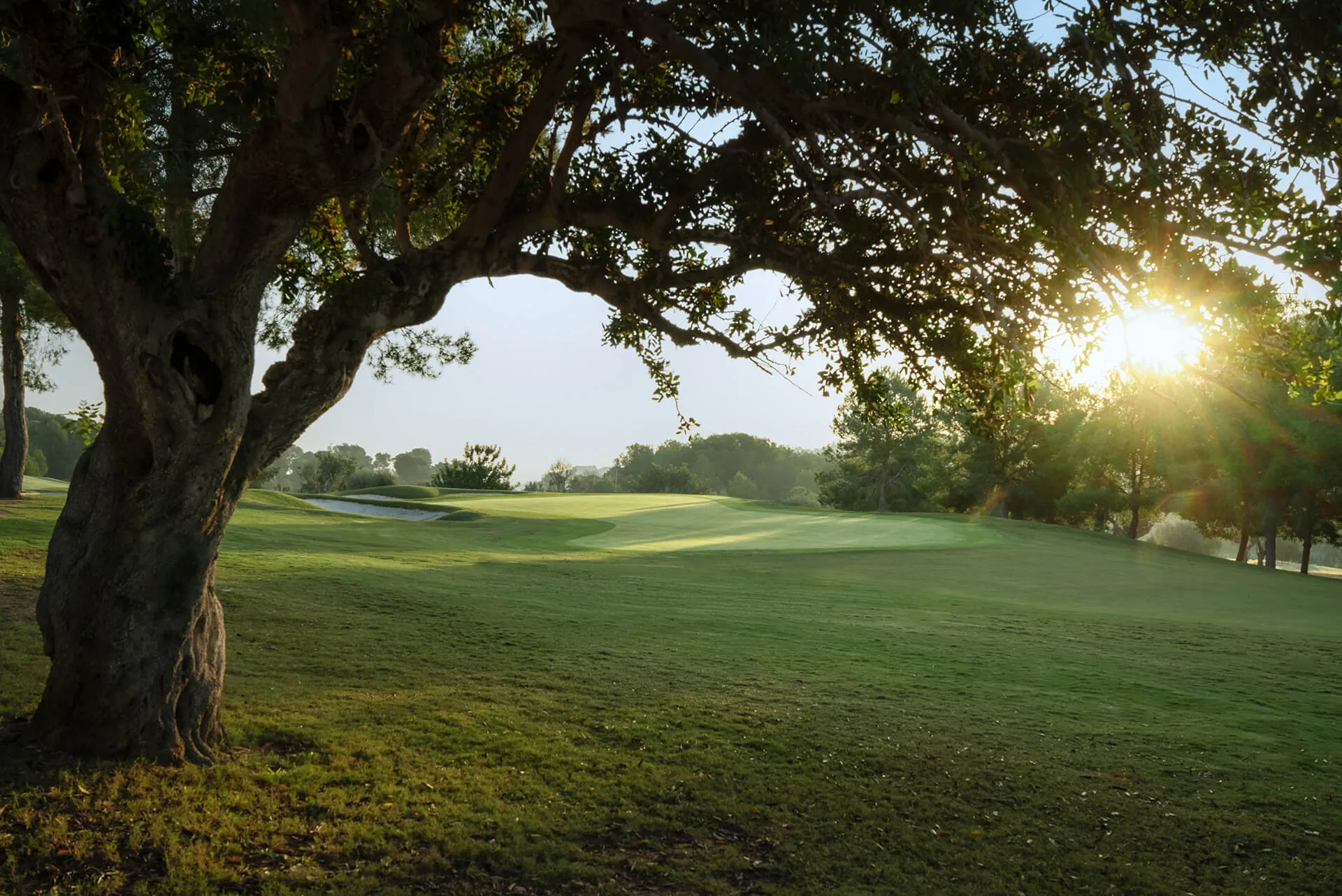 Blending the silence of golf with the roar of the Fallas: the ultimate plan for the modern traveler